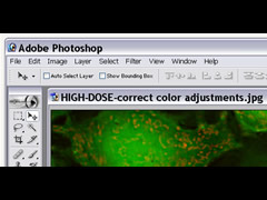 Image Link to Photoshop Videos