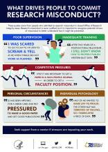 What Drives People to Commit Research Misconduct?